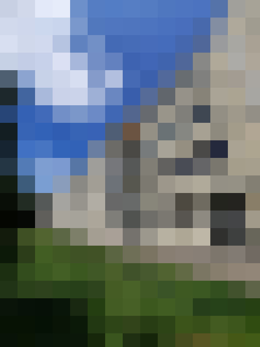  / #11