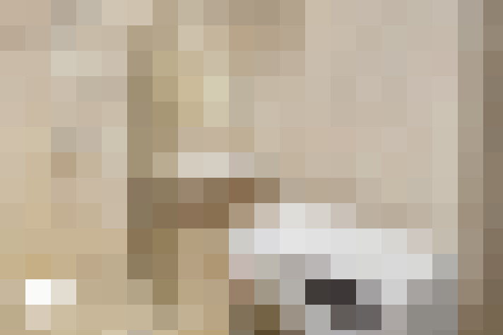  / #9
