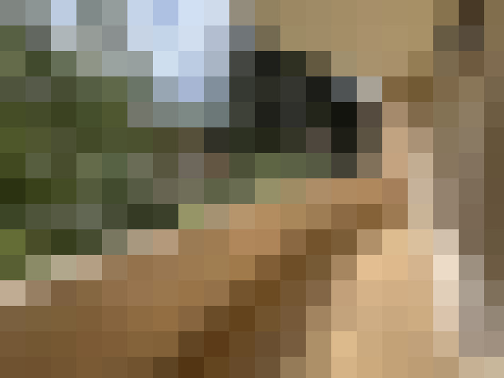  / #16