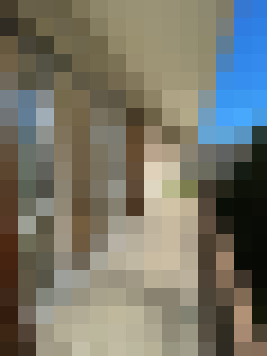  / #6