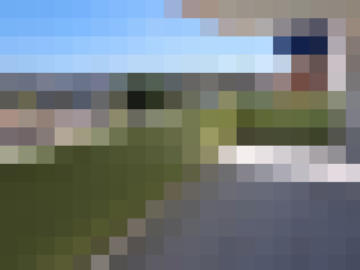  / #7