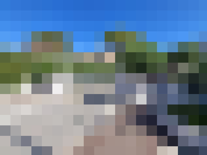  / #8