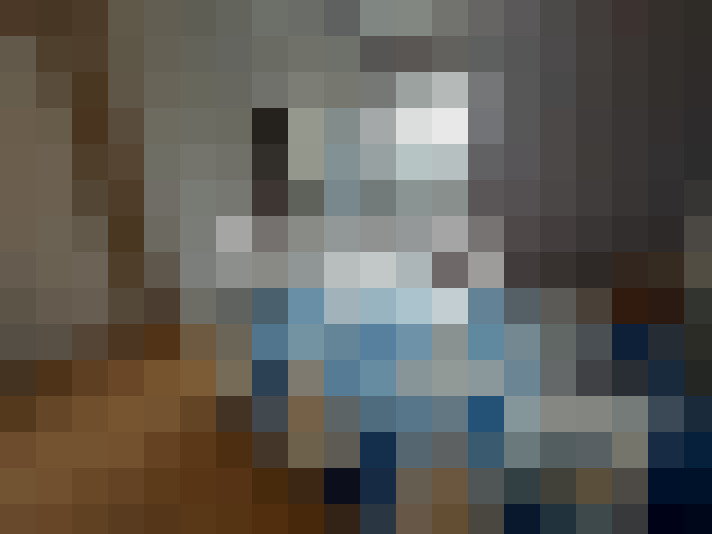 / #11