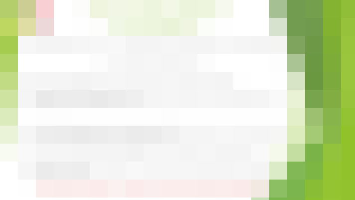  / #11
