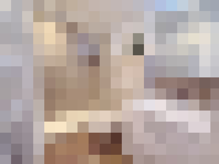  / #7