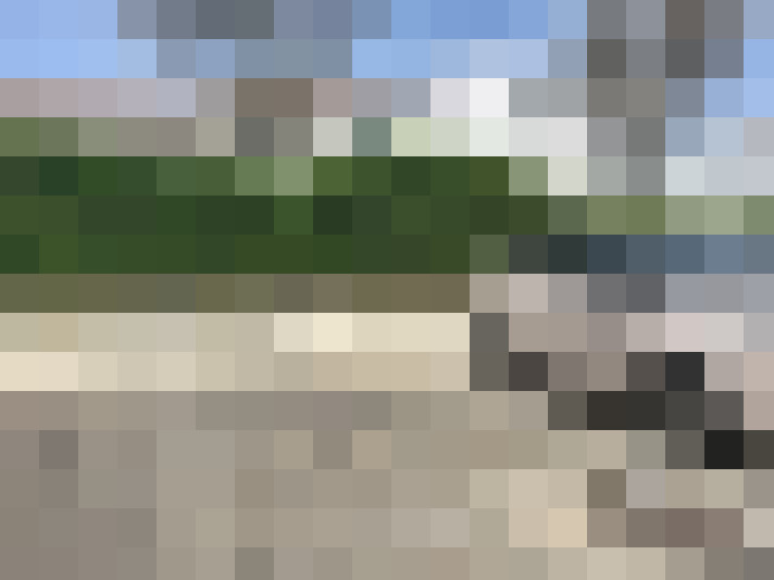  / #8