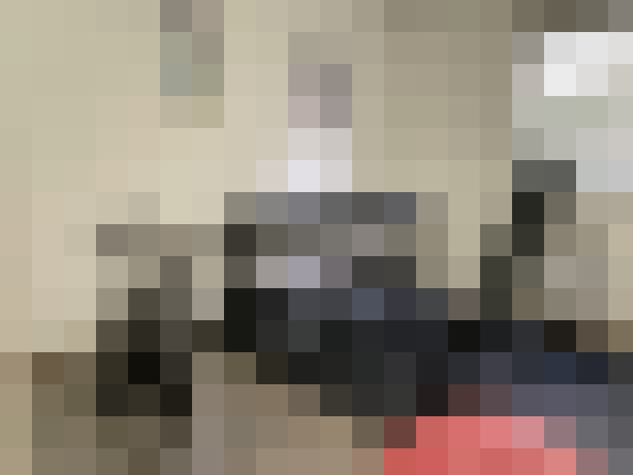  / #17
