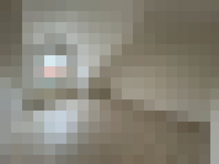 / #8