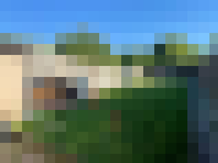  / #11