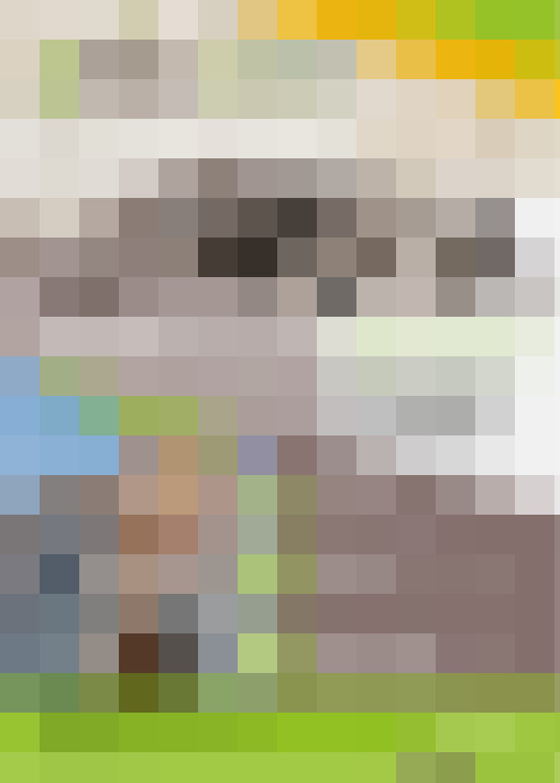  / #7