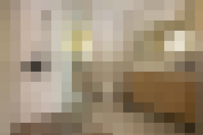  / #13