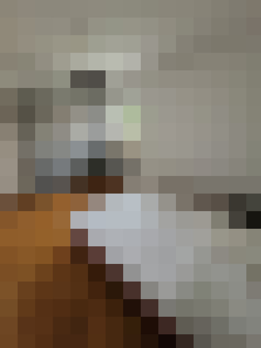  / #11