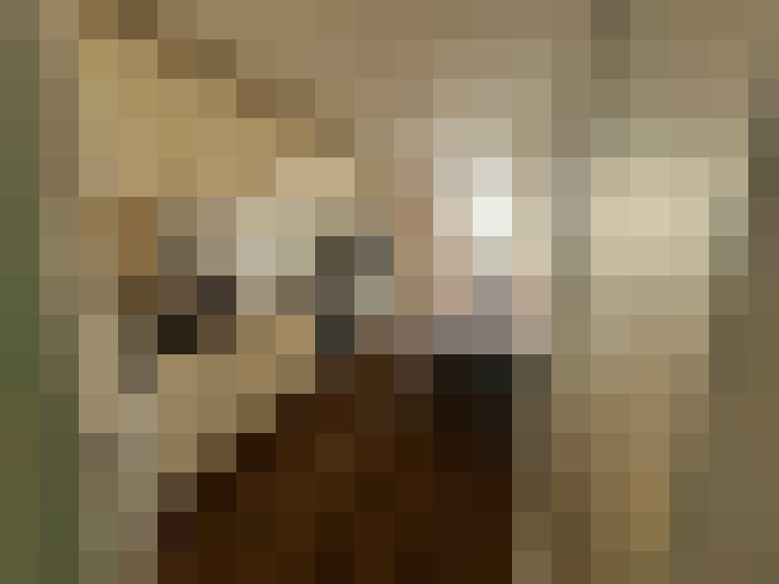  / #7