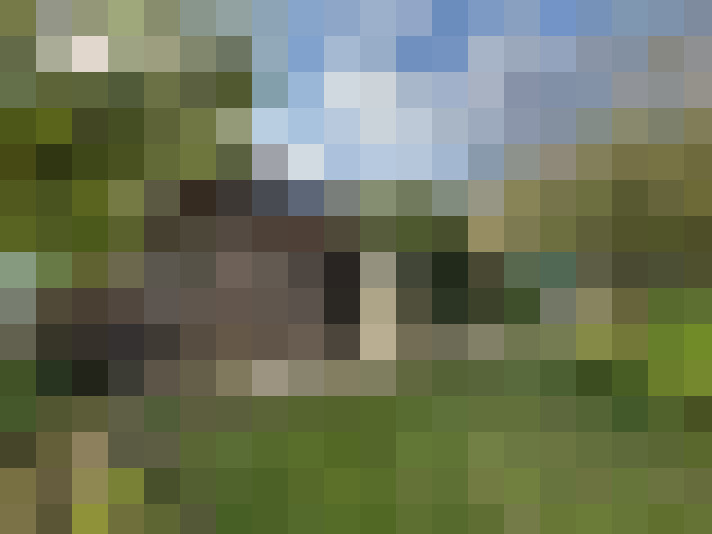  / #16