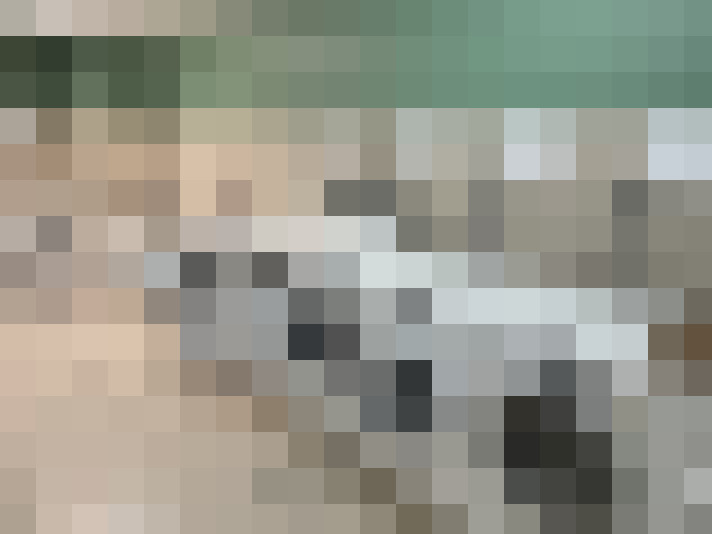  / #15