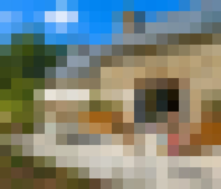  / #12
