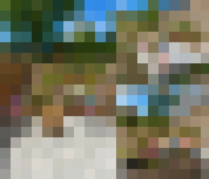  / #15
