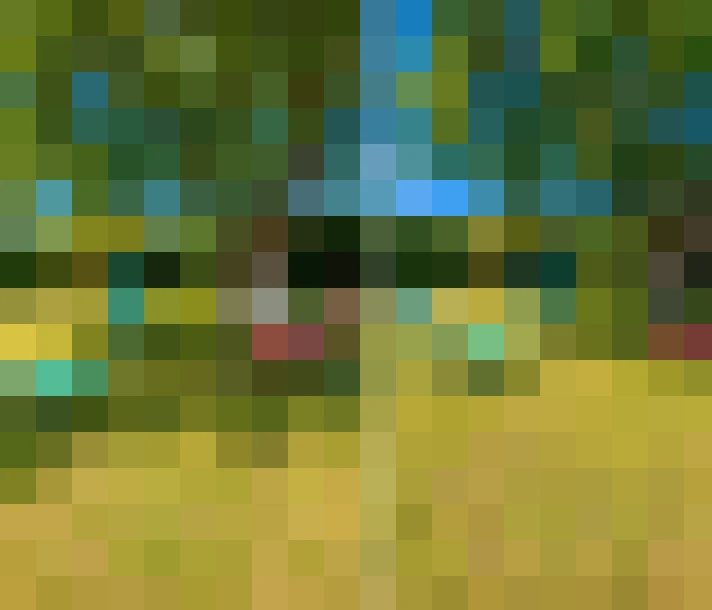  / #16