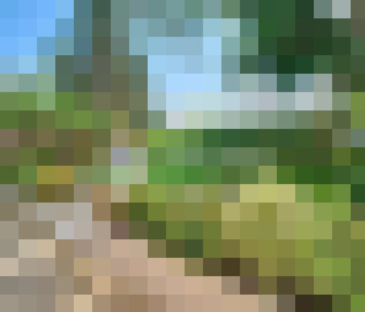  / #18
