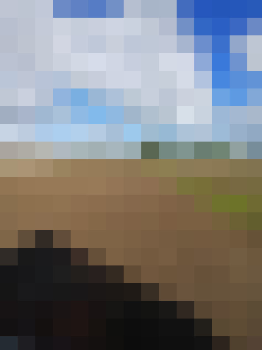  / #16