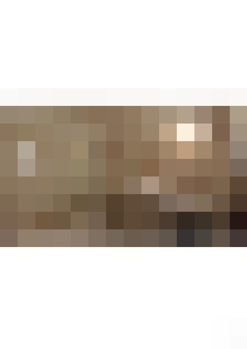  / #6