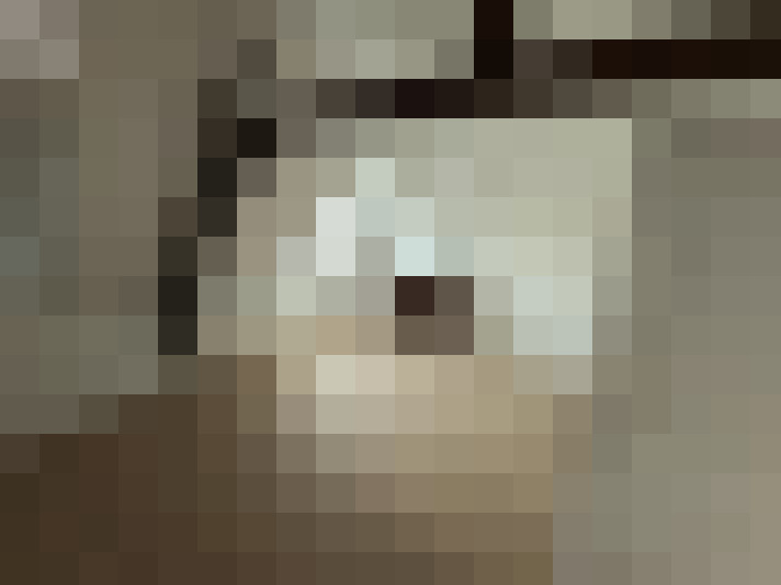  / #6