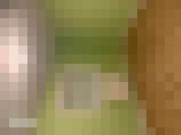  / #6