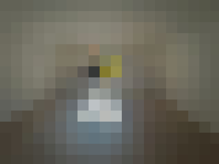  / #12