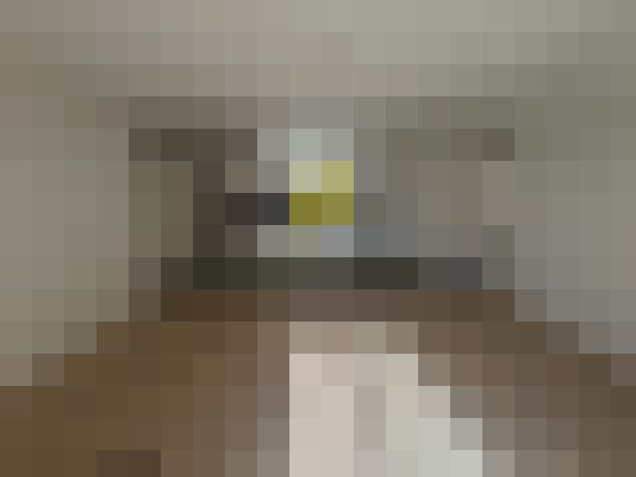  / #11