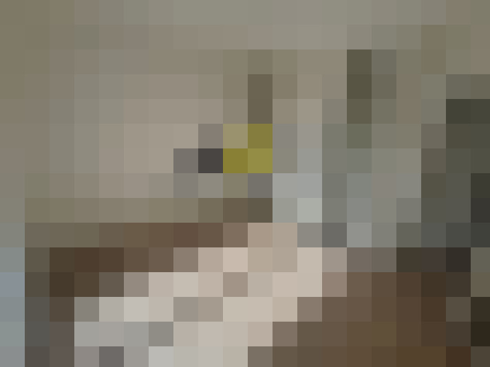  / #8