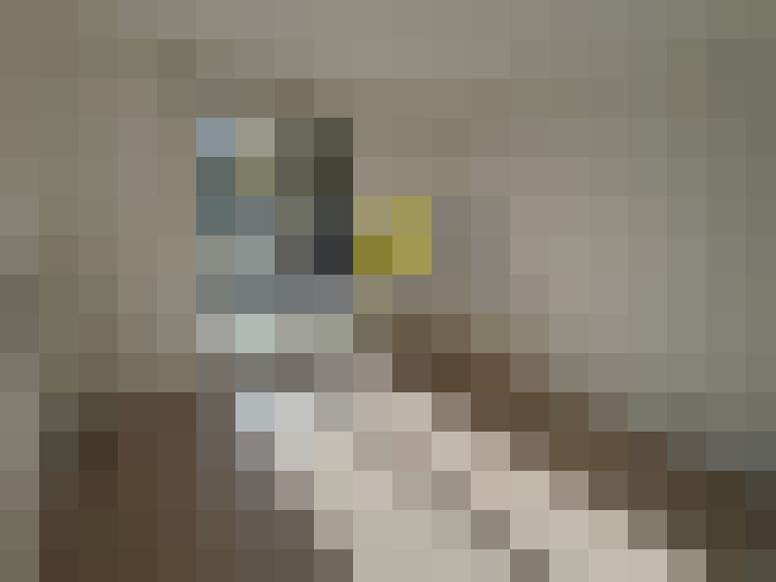  / #9