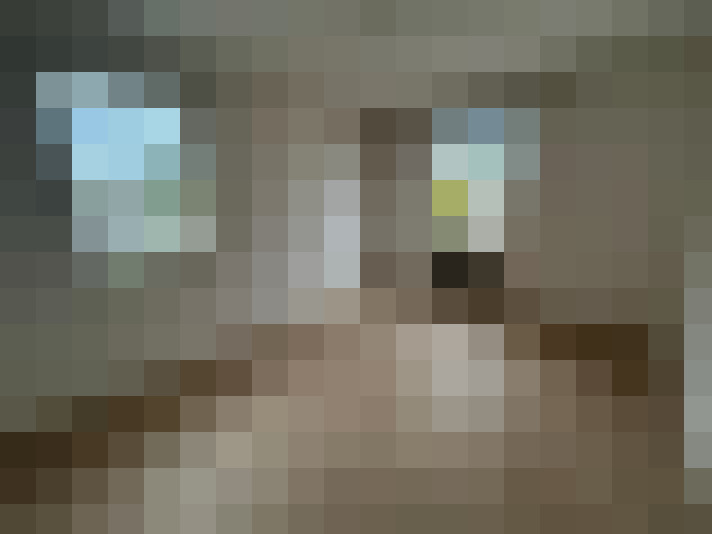  / #7