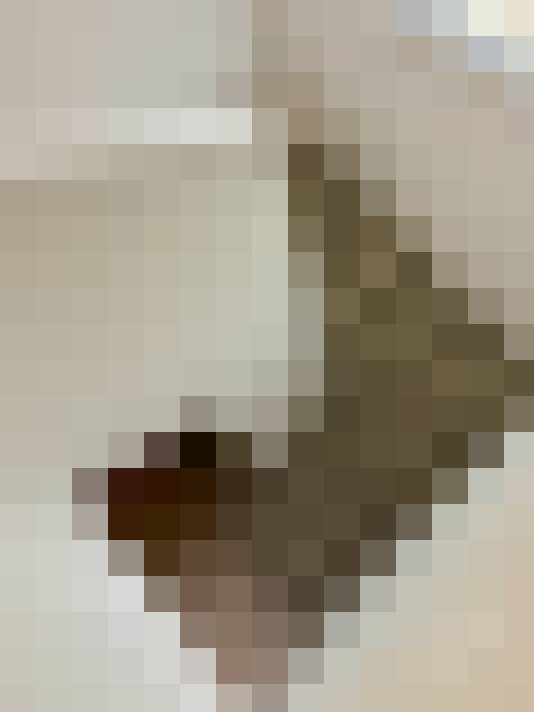  / #11