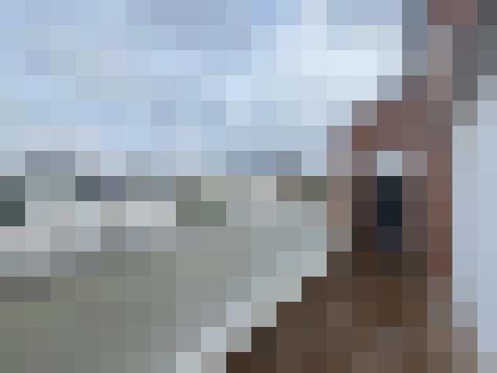  / #7