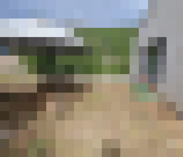  / #6