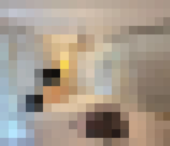  / #8