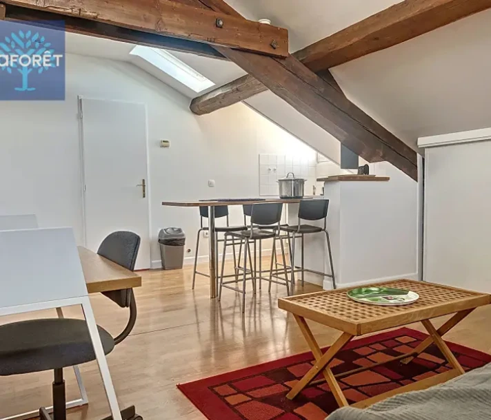 Studio à La Mulatière