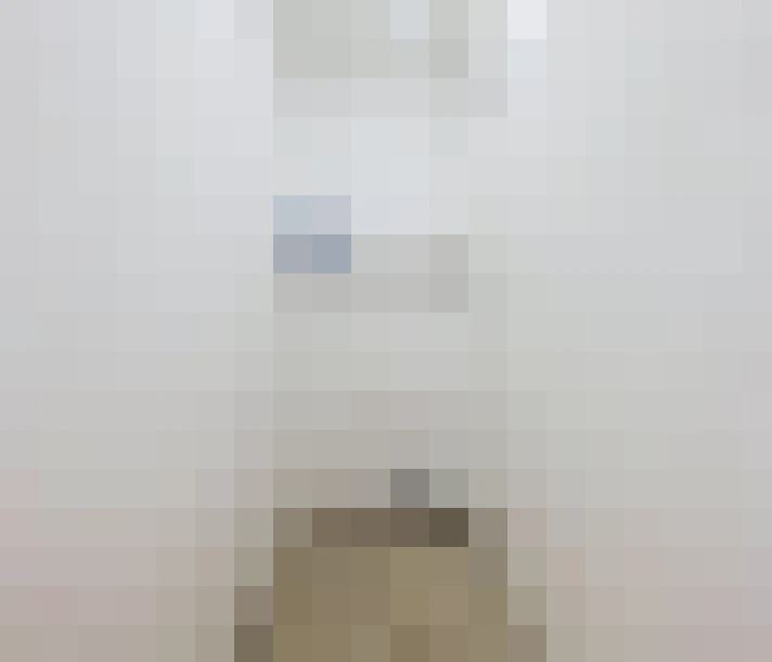  / #6