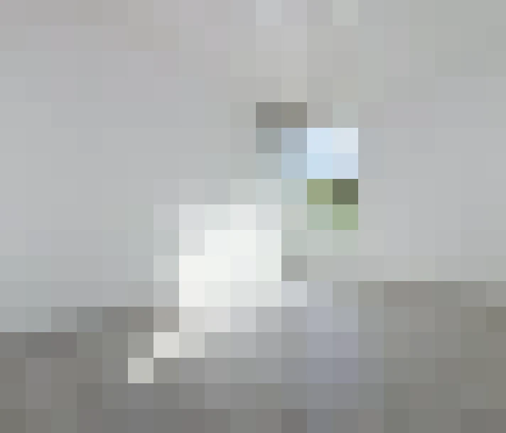 / #7