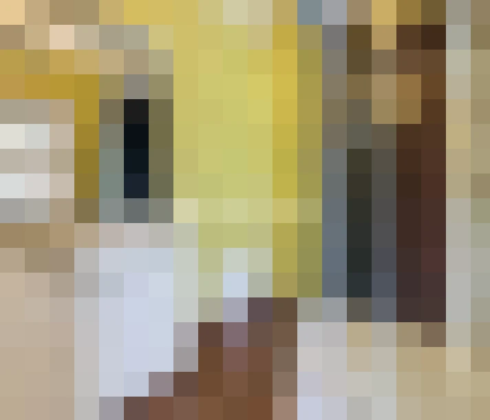 / #8