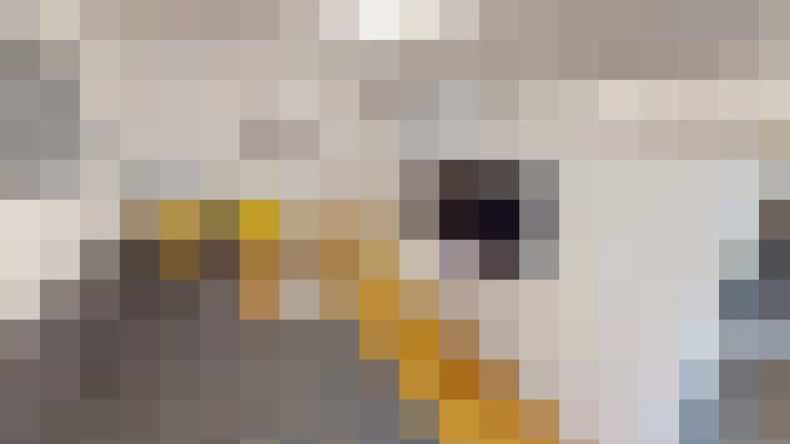  / #15