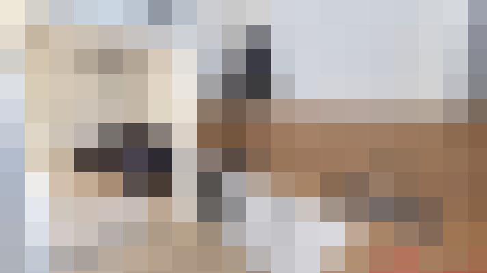  / #18