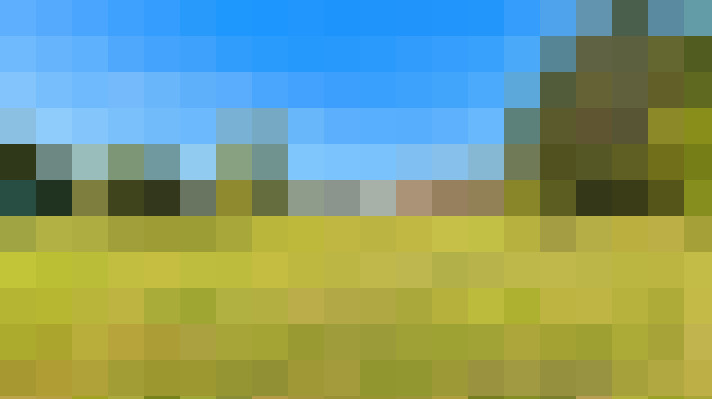  / #13