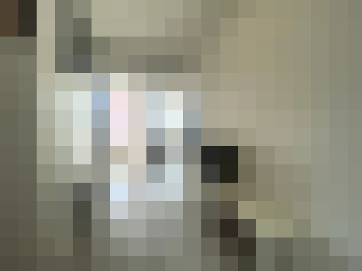  / #8