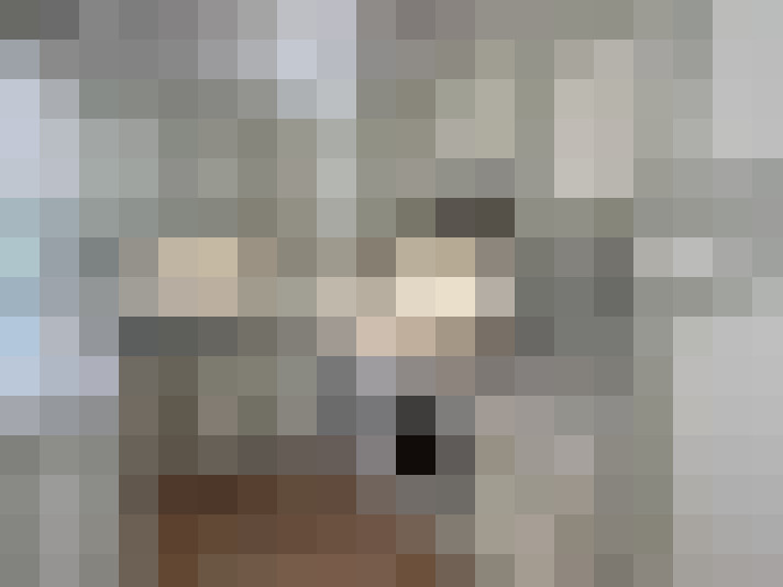  / #7