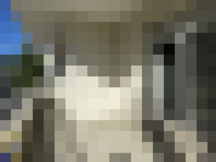  / #7