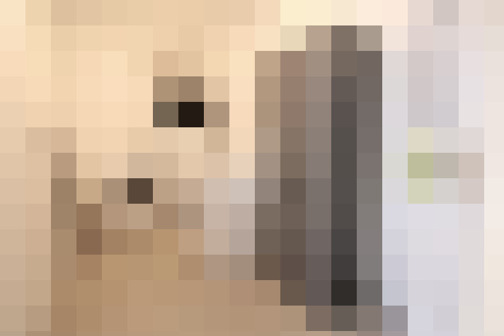  / #11