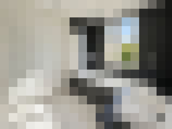  / #13