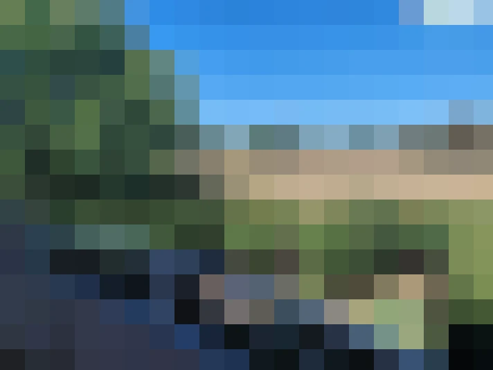  / #8
