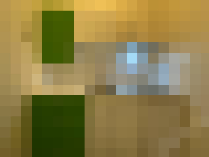  / #6